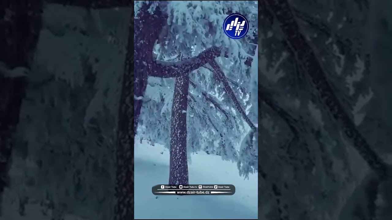 #شاهد...مناظر جميلة جدا صنعتها الثلوج باعالي جبال مروانة #بباتنة...