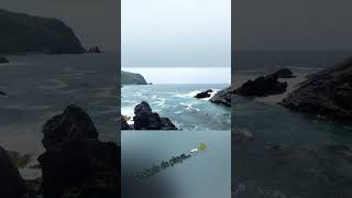 Ixtapa Zihuatanejo Sacando algas Marinas y disfrutando de un dia soleado en mi b