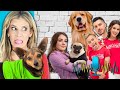 Guessing Youtubers Pets Only Using Their Voice - PawZam Dogs