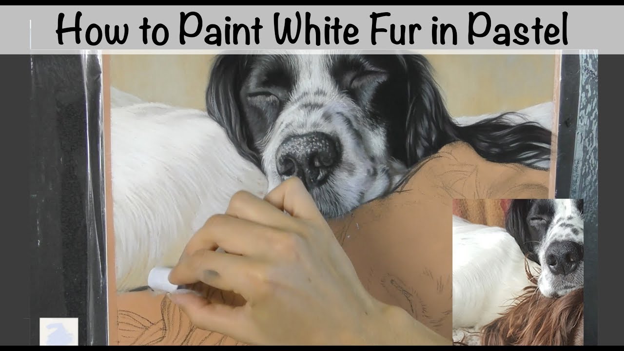 How to Paint White Fur in Soft Pastel - YouTube