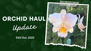 Sunset Valley Orchid Haul Update/Oct2023
