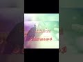 آریانا سعید جانم جگرم نرو نرو نی نی آریانا سعید جانم جگرم نرو نرو نی نی