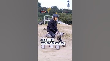 Meet the future of mobility: Chinese firm unveils ride-on robot dog