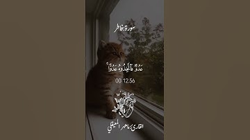 فَلَا تَغُرَّنَّكُمُ الْحَيَاةُ الدُّنْيَا ||#سورة_فاطر#ماهر_المعيقلي.