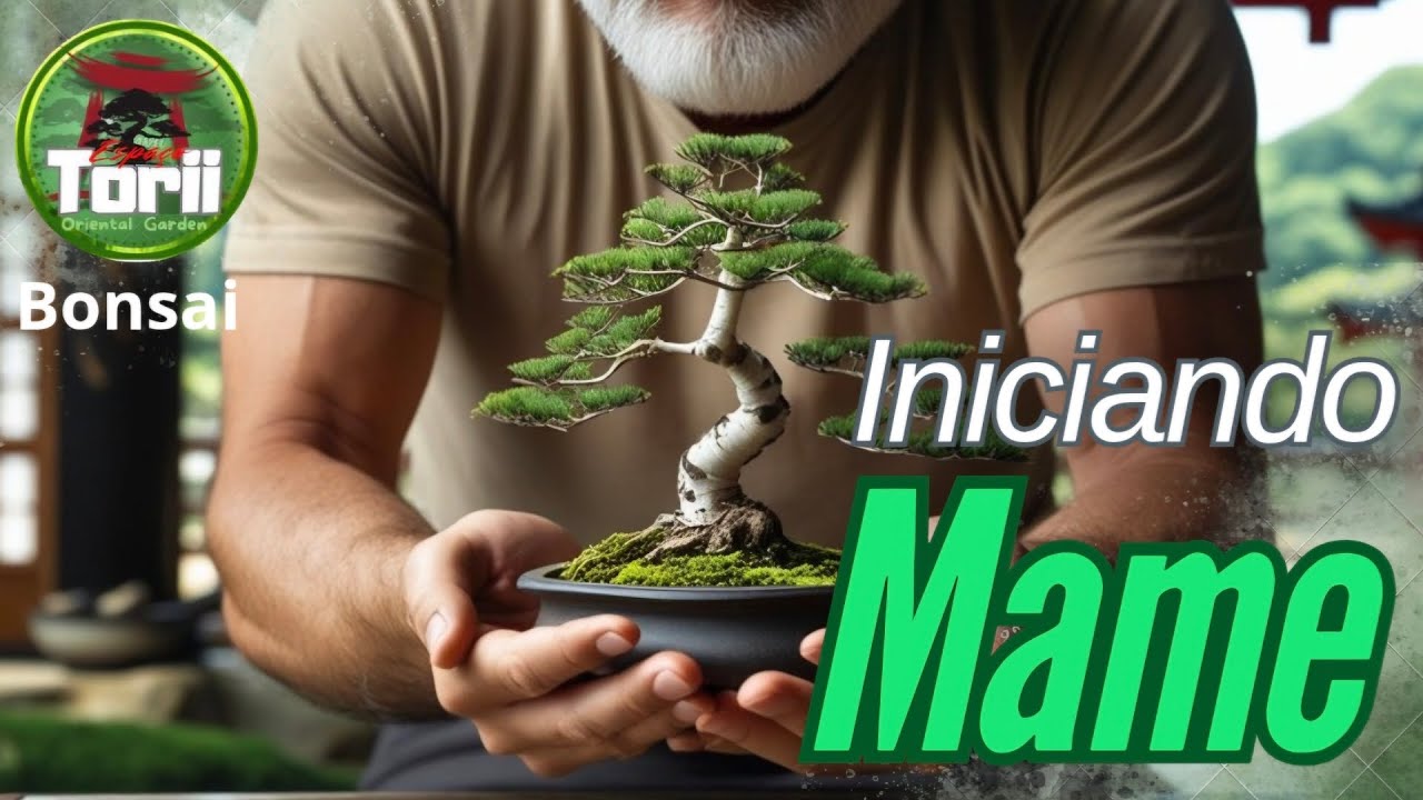 Futuramente pequeno no tamanho, mas imenso em beleza e significados. #EspaçoTorii .