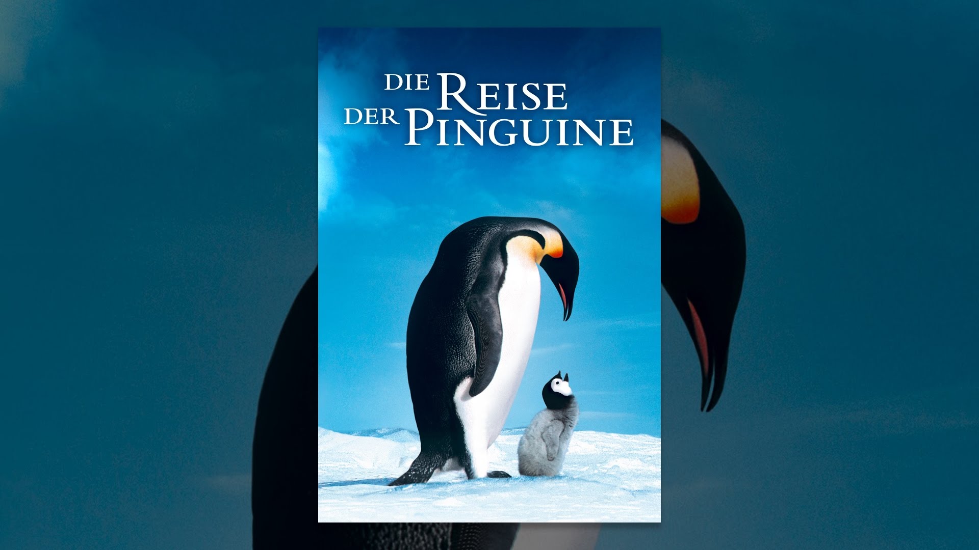 Reise Der Pinguine Reise Der Pinguine