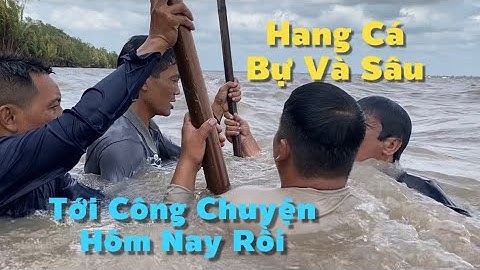 Cái Hang Cá Vừa Bự Vừa Sâu Tới Công Chuyện Nửa Rồi Chứ Đâu | Cù Lao Dung Vlogs #866