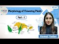 Morphology Of Flowering Plants | Part 1 | Manthan | Unacademy NEET | Komal Yadav