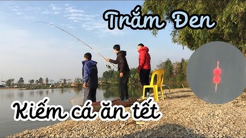 Câu lục l Lại gắp vài còn trắm đen về ăn tết, phê quá các cụ ơi😁😁| fitshing