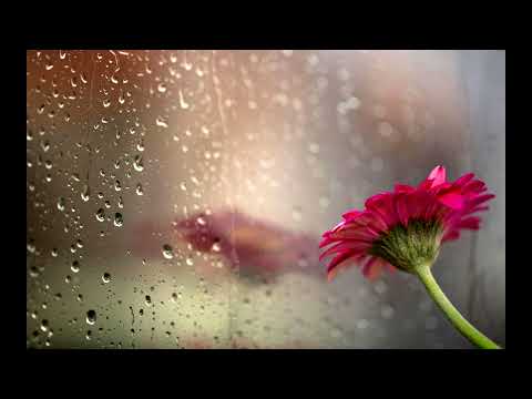 รักเธอทั้งหมดของหัวใจ - pause