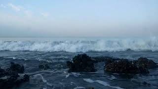Sounds of the Sea SD 480p