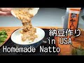 海外在住でも毎日食べられる納豆の作り方【アメリカ生活】