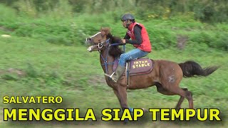 SALVATERO PERSIAPAN TEMPUR BUDAH LAUT STABLE