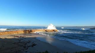 San Diego, Village of La Jolla - Children's Pool, California (4k)