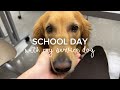 School/College With a Service Dog 🐕🦺 (2/24/26)
