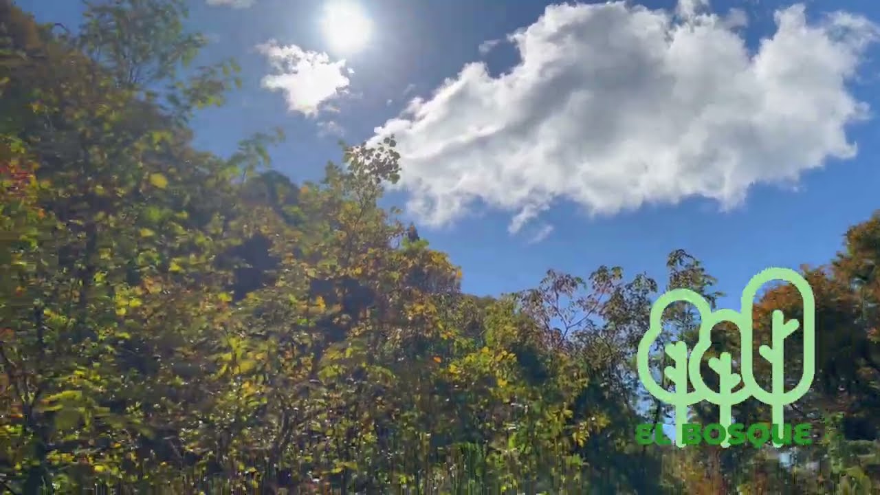 明日11/05はいよいよ、ヒルクライムレース