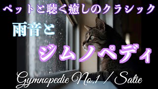 ペットと聴く癒しのクラシック【ジムノペディ】Gymnopedie/Satie 雨音とソルフェジオ周波数