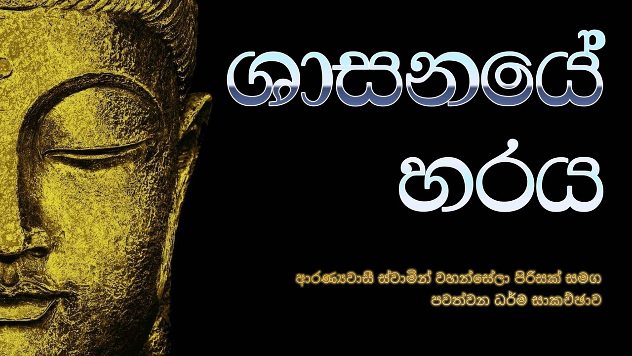 ශාසනයේ හරය | ආරණ්‍යවාසී ස්වාමින් වහන්සේලා පිරිසක් සමග පවත්වන ධර්ම සාකච්ඡාව