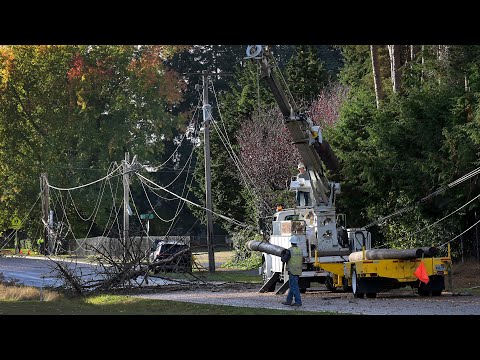 Power restored to 320k customers after B.C. windstorm