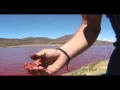 La Leyenda de Laguna Roja 2 Parte