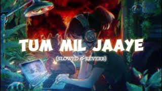 Tu Mil Jaaye | Lofi song | New Hindi Song | Ranbir Kapoor & Rashmika M. | Hindi Romantic Song