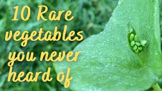 10 Rare Vegetables you never heard of | Unusual Vegetables you should grow in your Garden