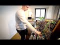Minibrute 2 ecosystem realtime performance by maxime dangles