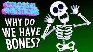 Why Do We Have Bones? | COLOSSAL QUESTIONS