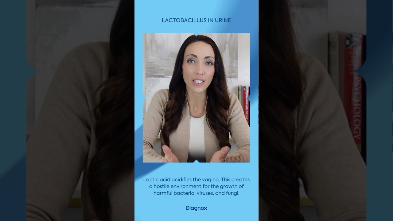 Is it safe to have Lactobacillus in Urine #lactobacillus #urinaryhealth #healthtips