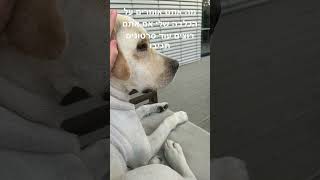 ‏יאללה חברים בואו נגיע ל-100 מנוים ב100 ￼מנויים חשיפת שם❤️❤️❤️❤️