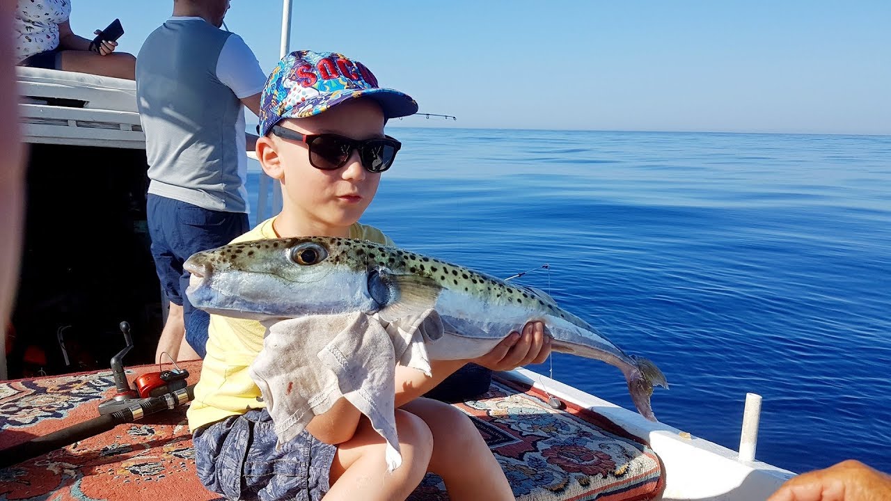 Море и рыбы в турции на Море и рыбы в турции на