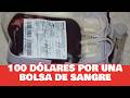 🤬 VENTA ilegal de SANGRE en Cuba: 100 DÓLARES por una BOLSA 🩸