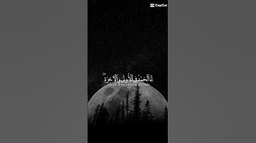 من اجمل ماسمعت آيات تدل على عظمة الخالق 💖 #آيات #قرآن #قران_كريم #هو_الله