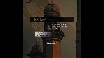سورة الحجر هزاع البلوشي حالات واتس