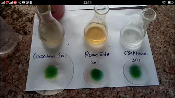 Determine the pH of different soil sample 12th class bio practical