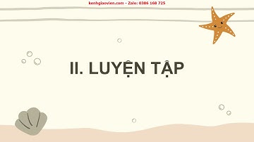 Giáo án powerpoint bài 4: Thực hành tiếng việt | Ngữ Văn 6 Chân trời sáng tạo