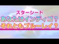 【スターシード】インディゴチルドレンとブルーレイチルドレンの２つの違い。あなたの魂だけが持つ光輝く特徴