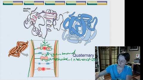 quaternary protein structure