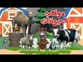اغنية مواهب الحيوانات🥳 | اغاني اطفال بون بون