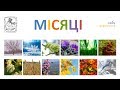 🌱 Місяці для дітей. Вчимо назви місяців українською. Ukrainian preschool