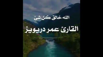 الله خالق كل شيء وهو على كل شيء وكيل #القارئ #عمر_دريويز