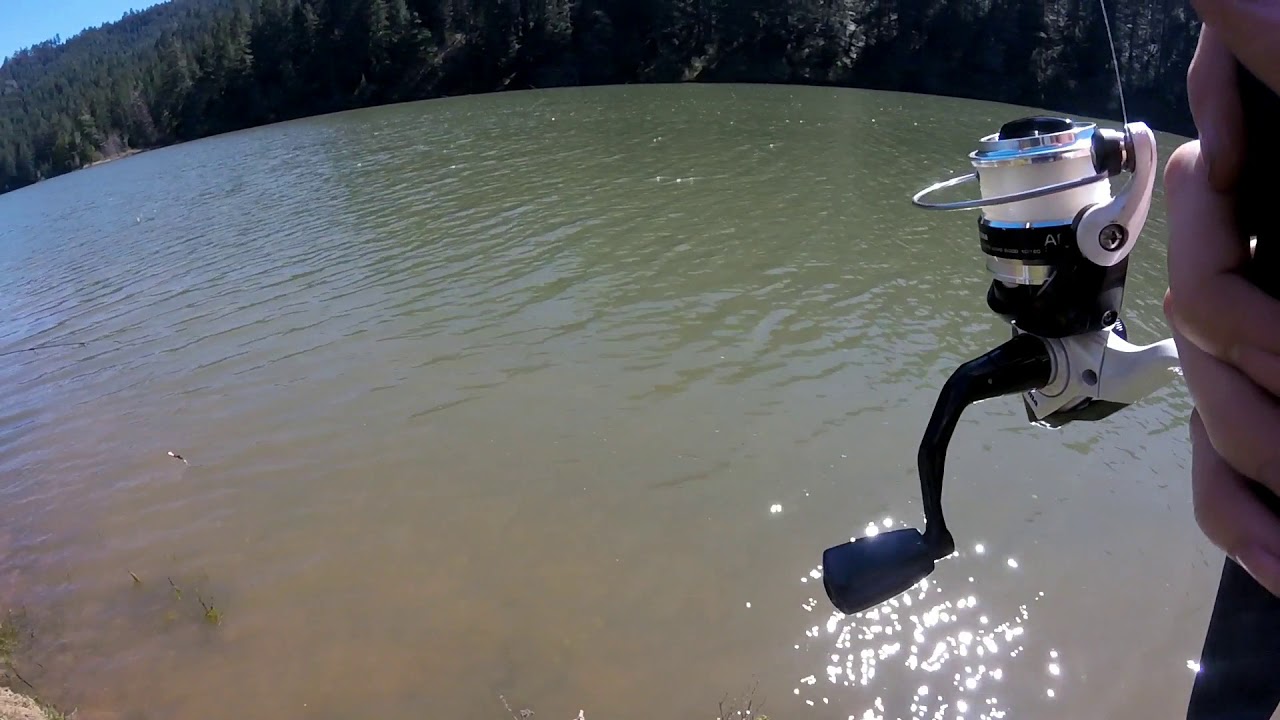 Quarantine Fishing Fun [stay safe]