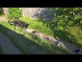 Нократ ЛюКан.Выборка вещи.