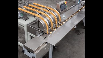 饼干3*2包装 Biscuits packing machine with feeder Automatic feeding and packing machine flow wrapper