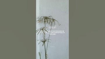 آيات من سورة #غافر #quran #coran #holyquran #اكسبلور #kouran #لايك #qareem #reaction #new