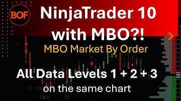NinjaTrader with MBO and BookMap Market By Order https://my.bestorderflow.com/1.php  ES NQ live