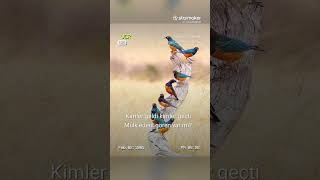 Mülk - İ Devran 🕊️ ゚Viral