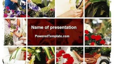 Pot Plants PowerPoint Template by PoweredTemplate.com