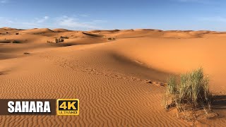 Sahara Desert Documentary – Largest Desert in the World | Amazement