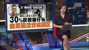 为赚快钱   辜健鈫：30%获救猪仔自愿回流诈骗园区 | 新闻报报看 07/10/2025